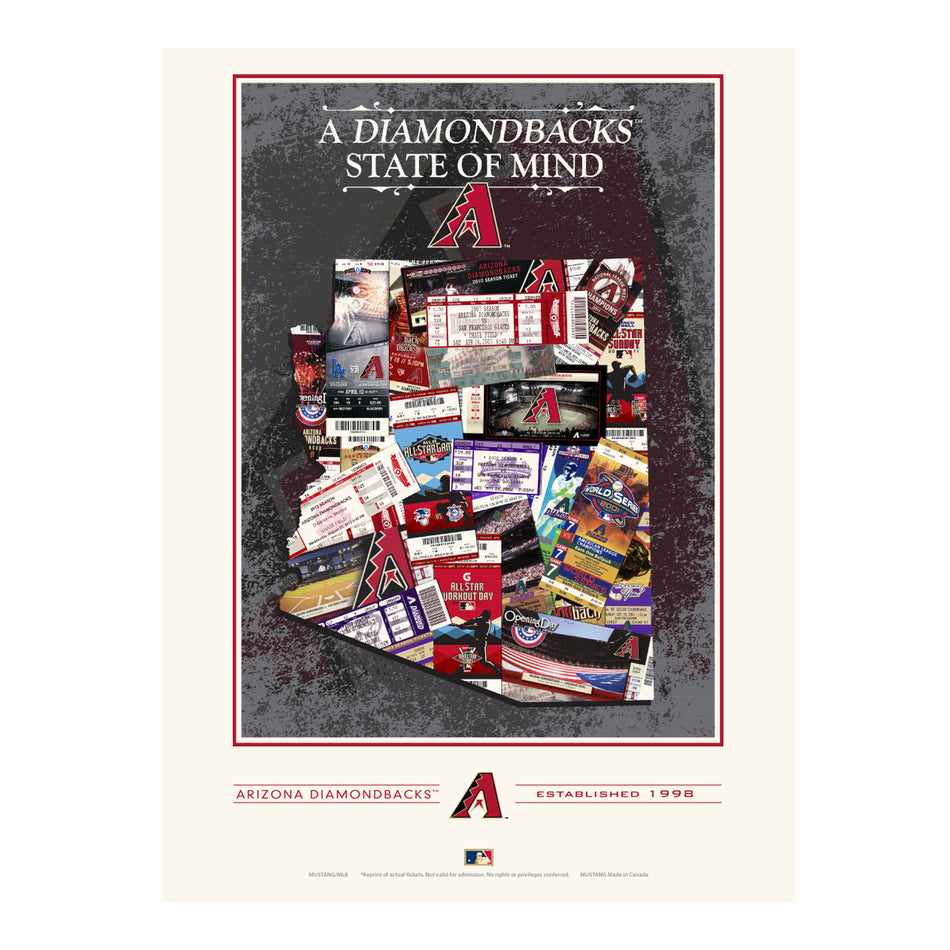 Arizona Diamondbacks - 12x16 State of Mind Print