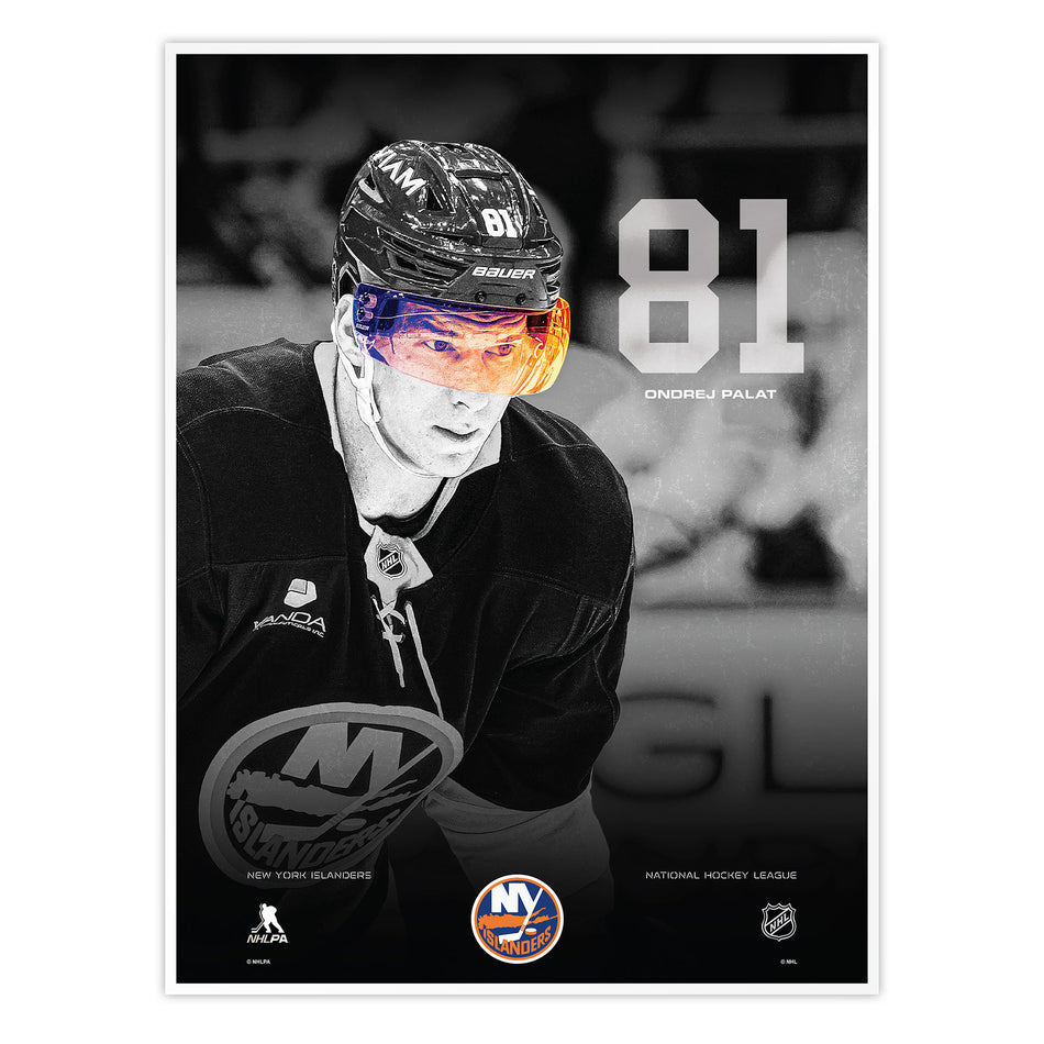 #81 Palat | Neon Visor 12" x 16" Print