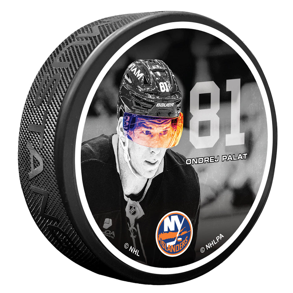 #81 Palat | Neon Visor Puck