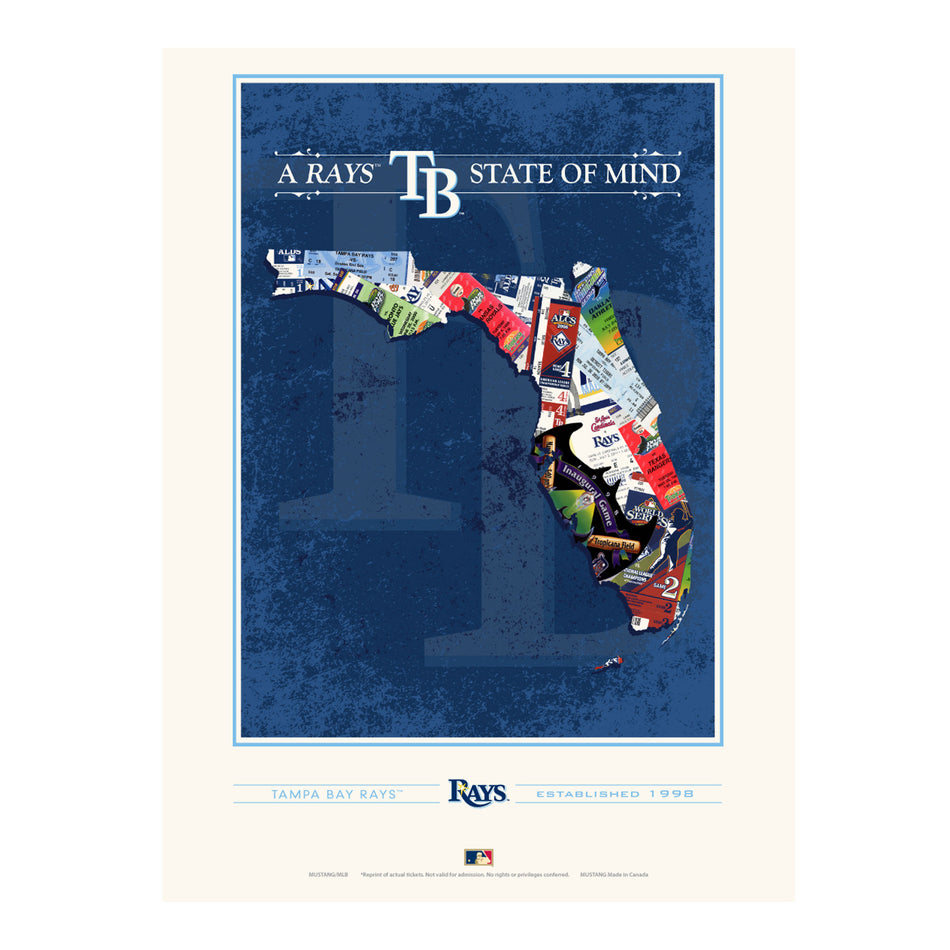 Tampa Bay Rays 12x16 State of Mind Print